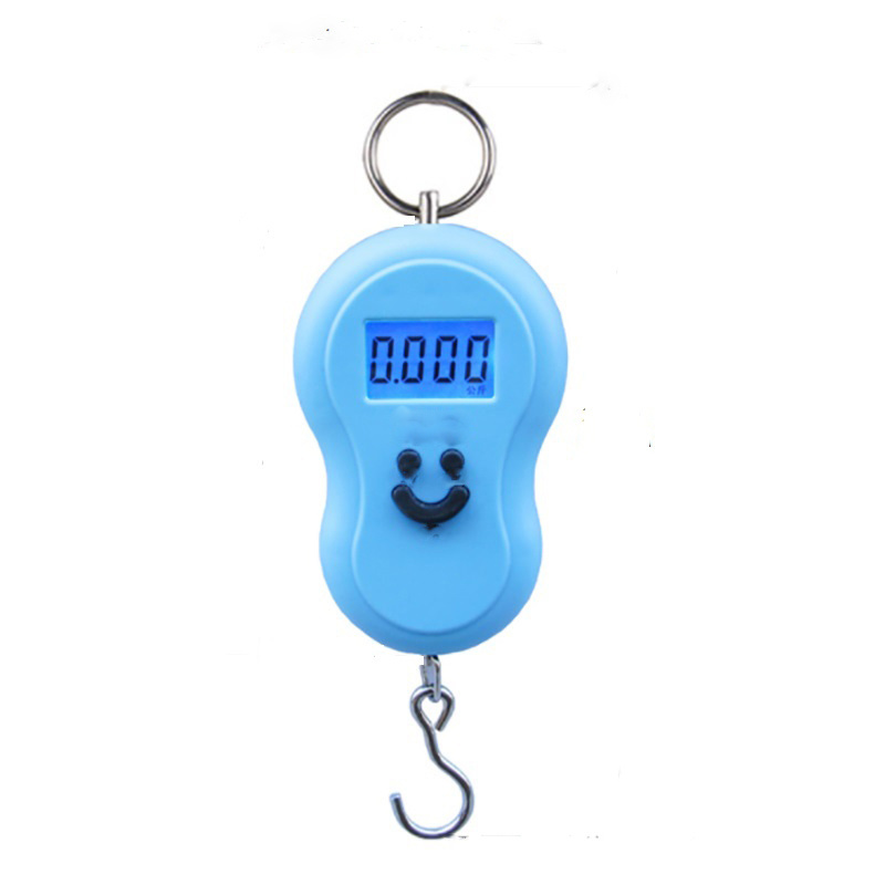 Multifunctional Mini Electronic Hanging Fishing Luggage Balance Portable  Digital Handy Pocket Weight Hook Scale - Temu