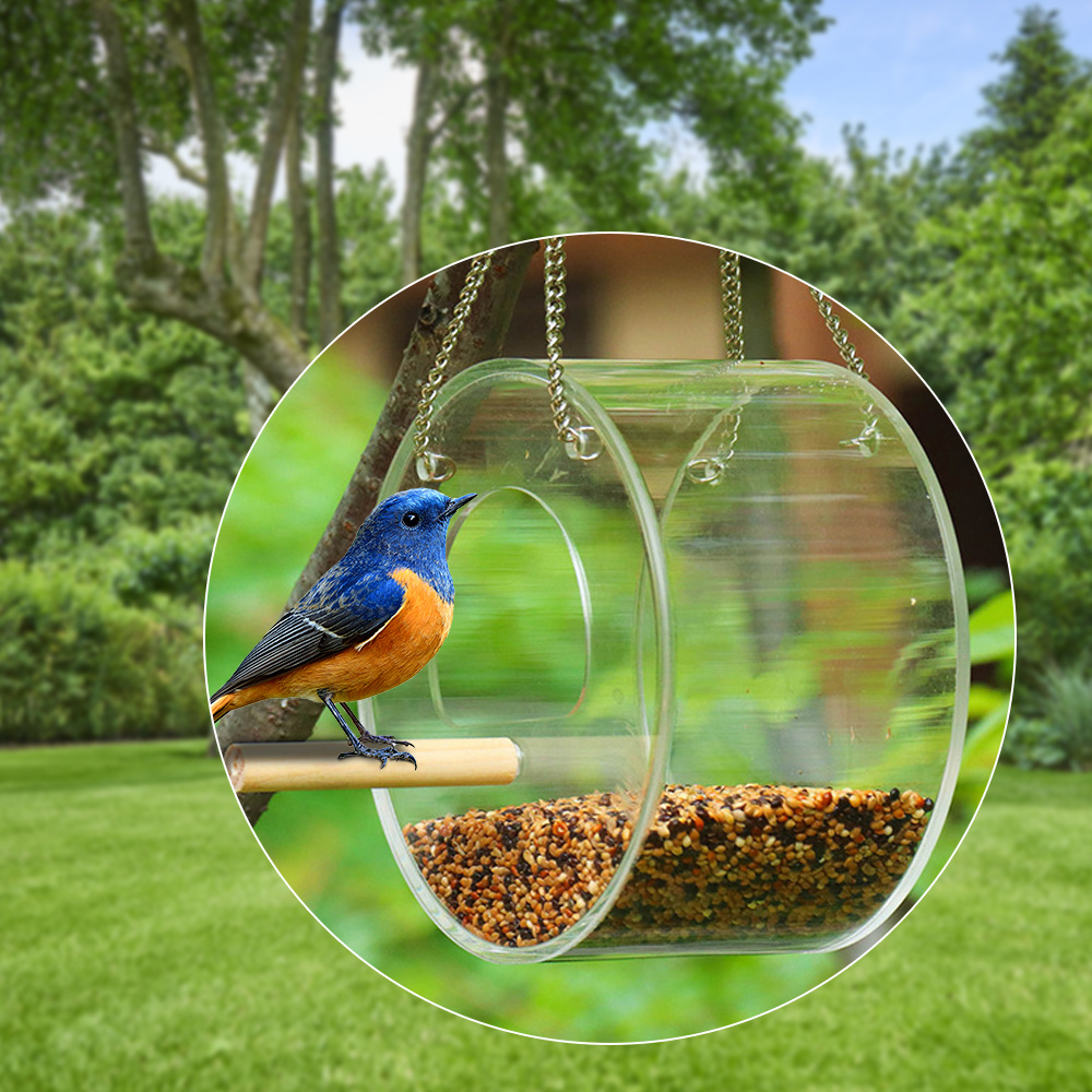 Spherical Hanging Bird Feeder With Metal Chain And Food Storage