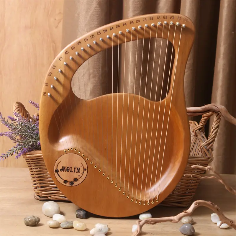 Learn To Play Music Easily With The Lyre 24 string Beginner - Temu