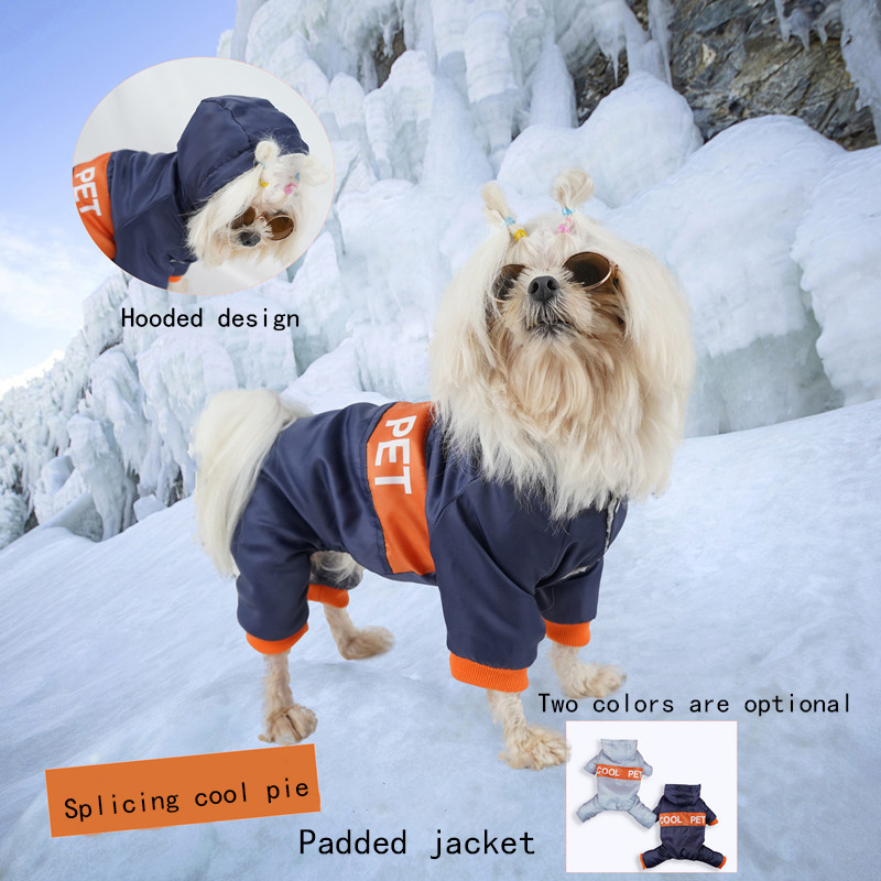 broncos dog clothes