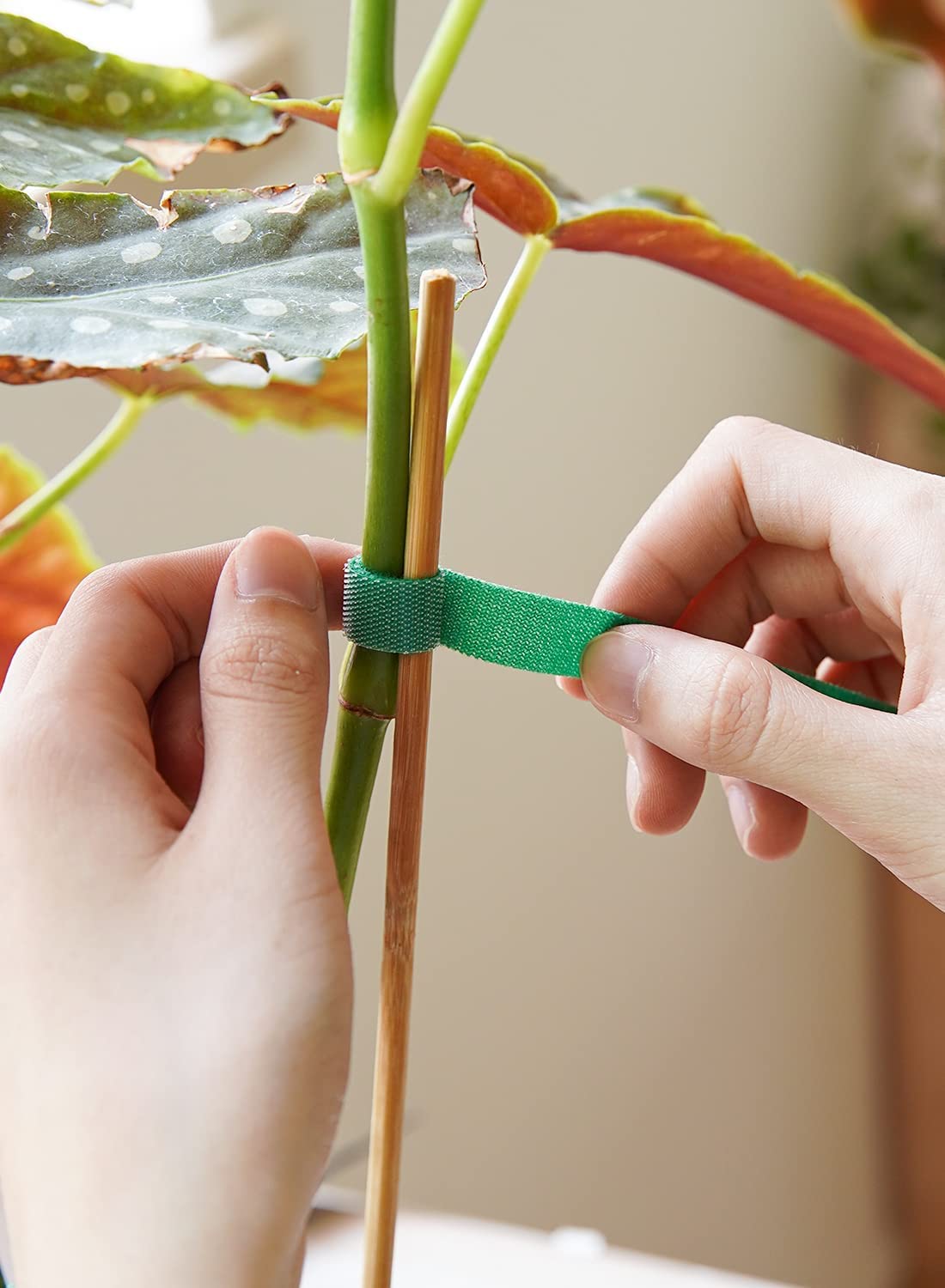 Secure Plants Reusable Nylon Garden Ties Lengths Available! Temu