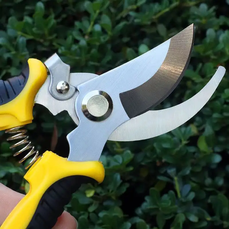 1pc Garden Pruning Shears Strong Stainless Steel Scissors Hand Pruners For Fruit Pedicels Power Saving Trimming Tools Garden Supplies
