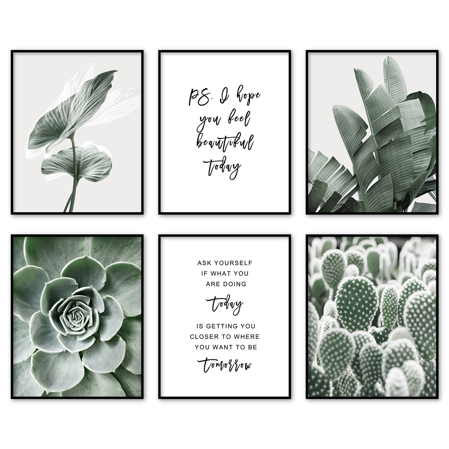 Botanical Prints, Set of 4, 8x10 Prints Unframed, Plant Painting, Botanical  Wall Art Plant Poster (Option 1)