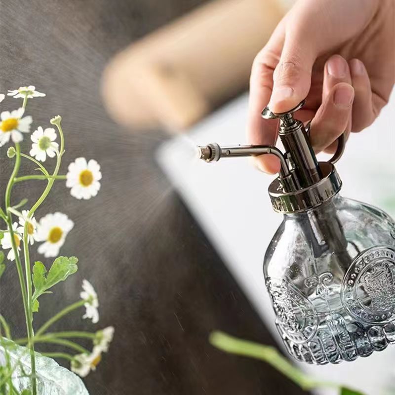 Glass Plant Sprayer Watering Can for Garden - 1pc