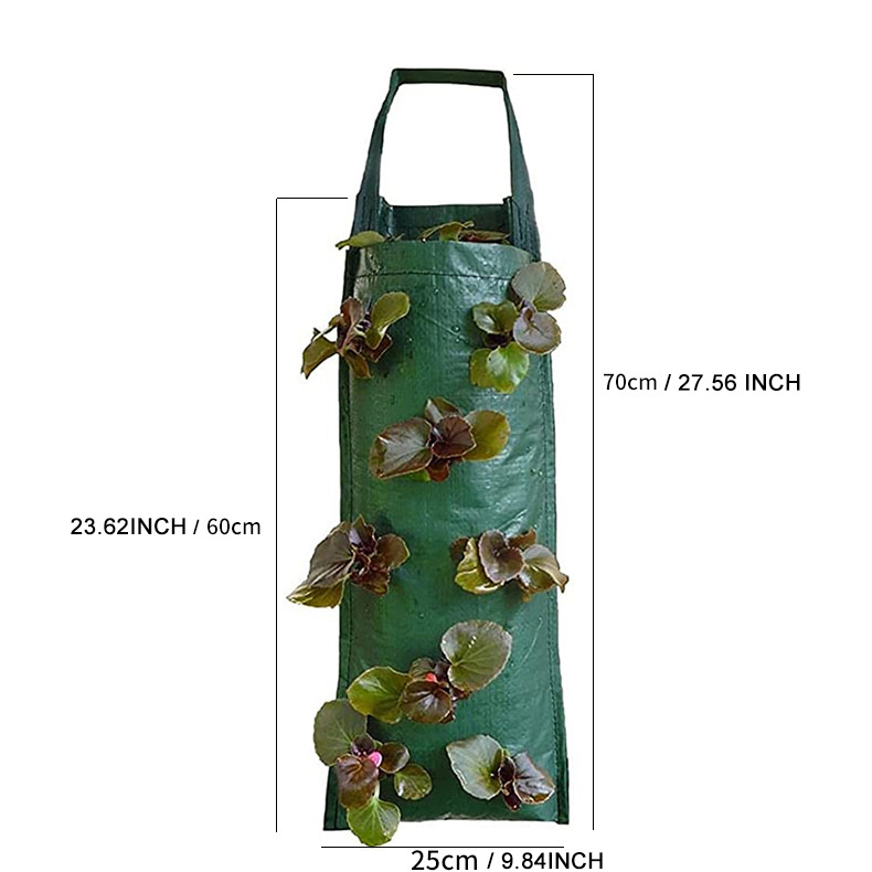 EBOCACB 3 pcs Hanging Planter Bag with Handles, Plastic Hanging Strawberry  Planting Containers Strawberry Grow Bags Foldable Durable Growing Bags Grow