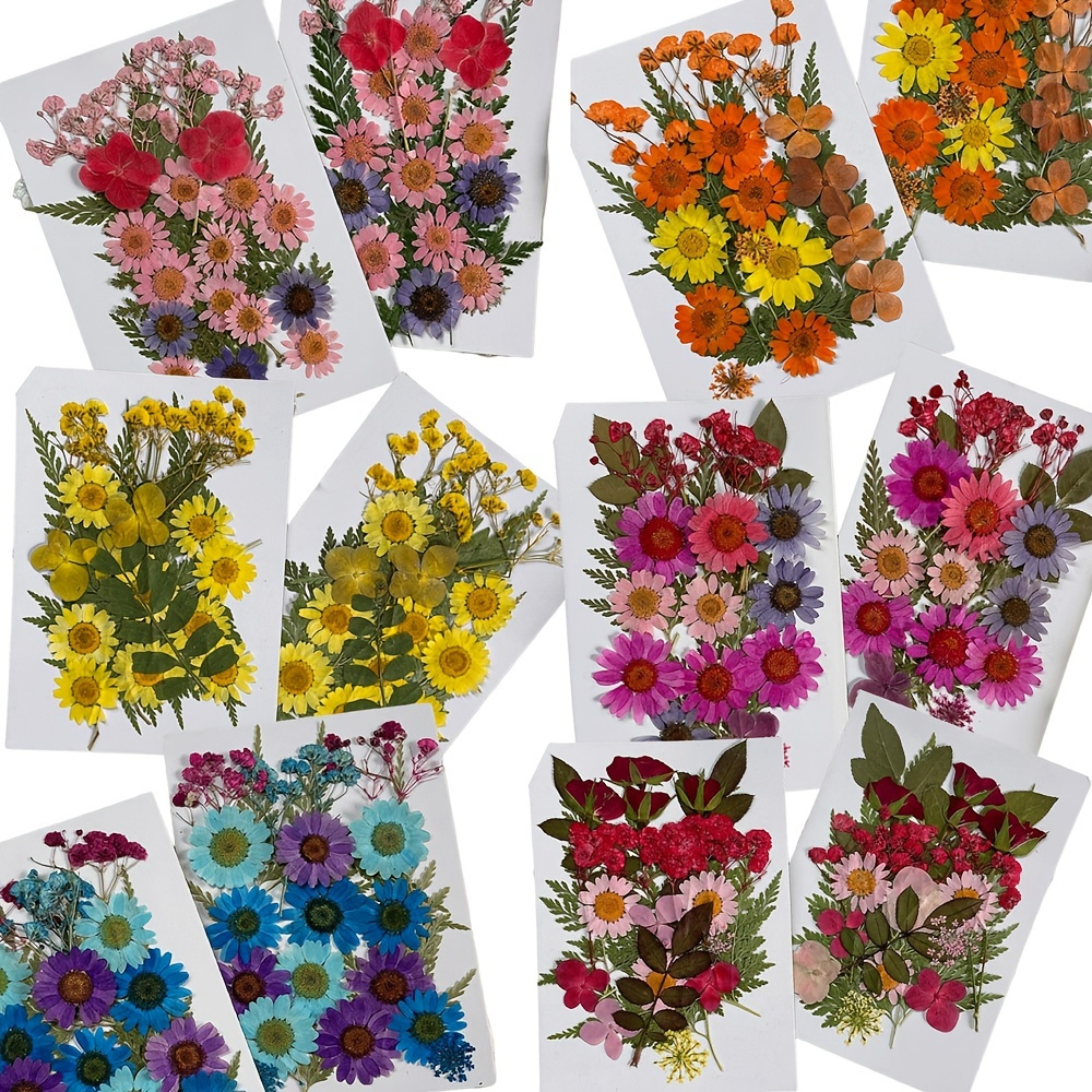 35-42pcs Dried Pressed Flowers For Resin, Real Pressed Flowers Dry Leaves  Bulk Natural Herbs Kit For DIY, Epoxy Resin Jewelry Molds, Candle, Soap  Making, Nails Decor