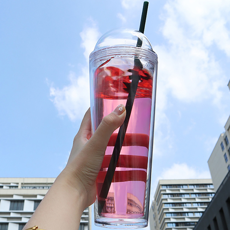Insulated Tumbler with Lid and Straw Double Wall Plastic Straw