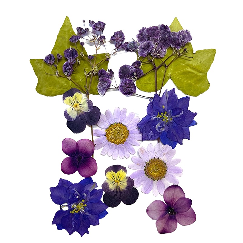 Dried Real Flowers For Crafts - Pressed Purple Snow Bead Flower - Dry –  DOMEDBAZAAR