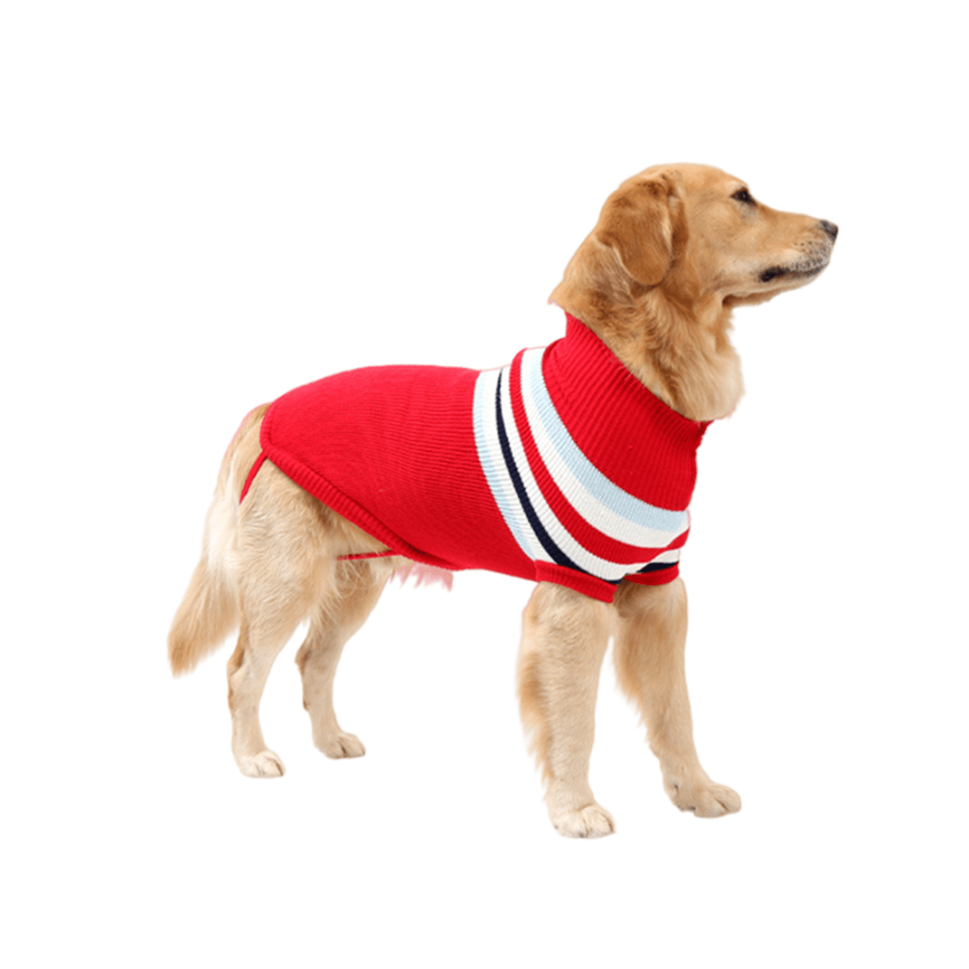 dog sweater with leg straps