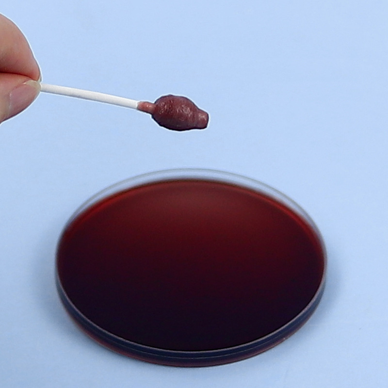 Pet Cotton Swabs Indoor Dogs Cats Cotton Pointed Tips Swabs Temu