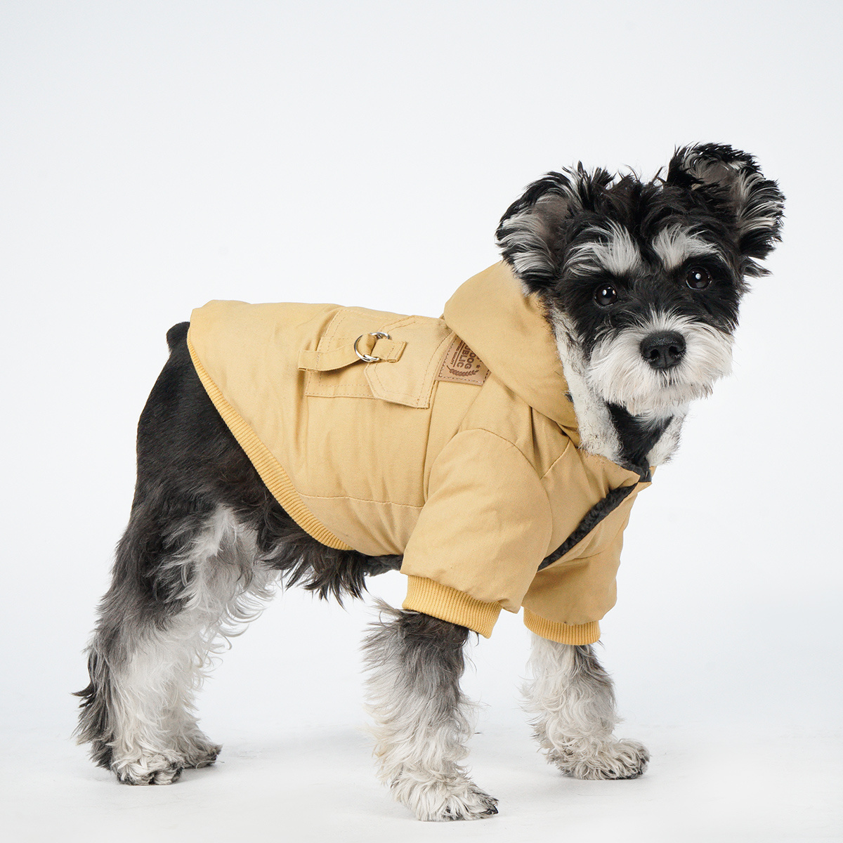 Pet Winter Coat Warm Dog Cotton Coat For Cold Weather Pet Hoodie Jacket For Small  Medium Dogs - Pet Supplies - Temu