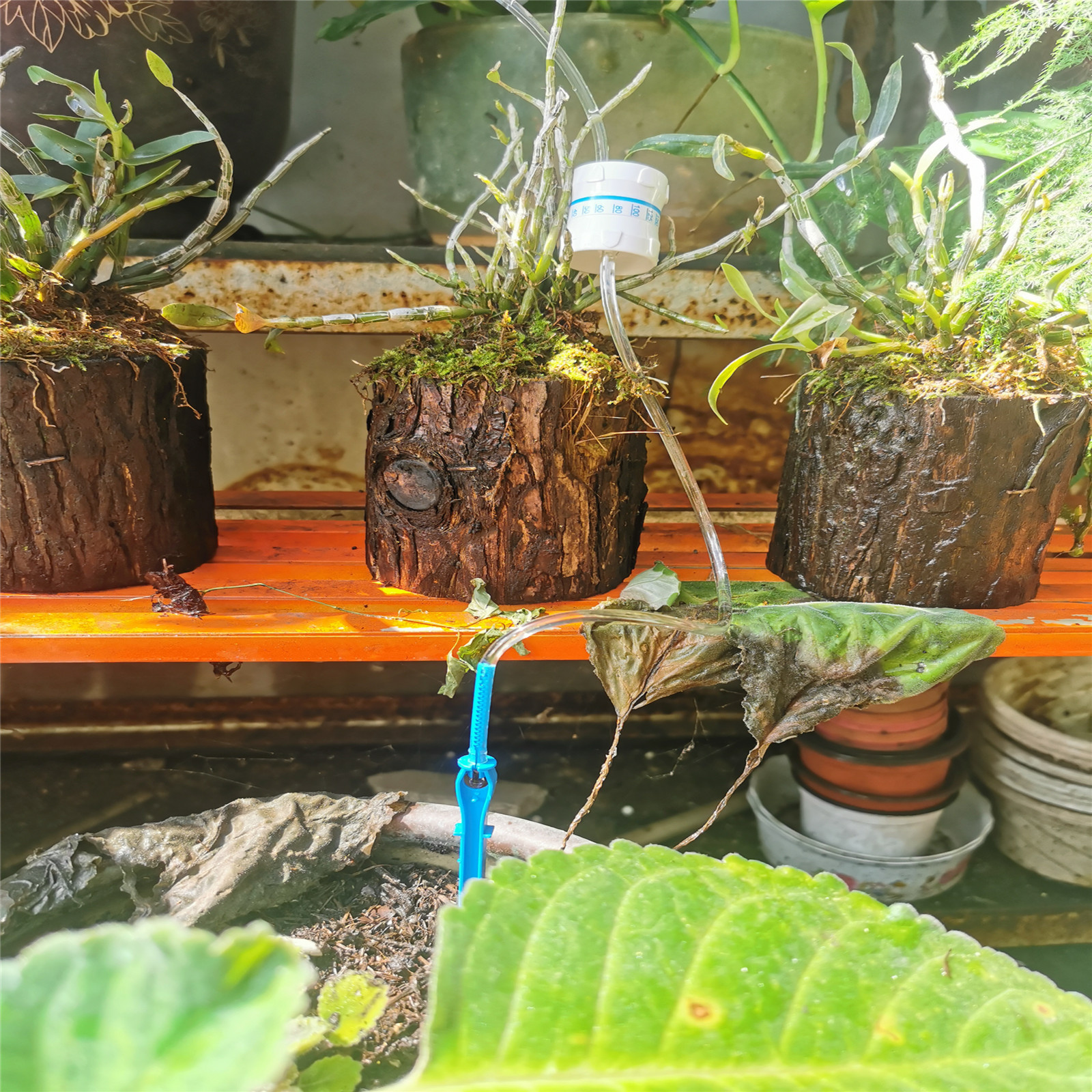 Sac d'arrosage pour plantes Kit d'irrigation goutte à goutte automatique  Dispositifs d'arrosage pour pots de fleurs d'intérieur 350ML