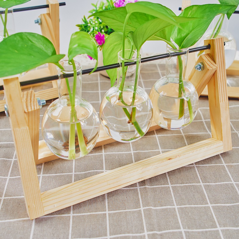 Glass Vase Planter Terrarium Table Desktop Hydroponic Plant Vases