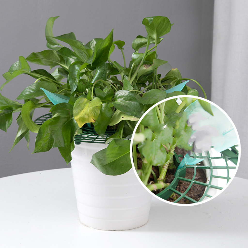 5pcs Frame ing Frame Pot Frame | Temu Norway