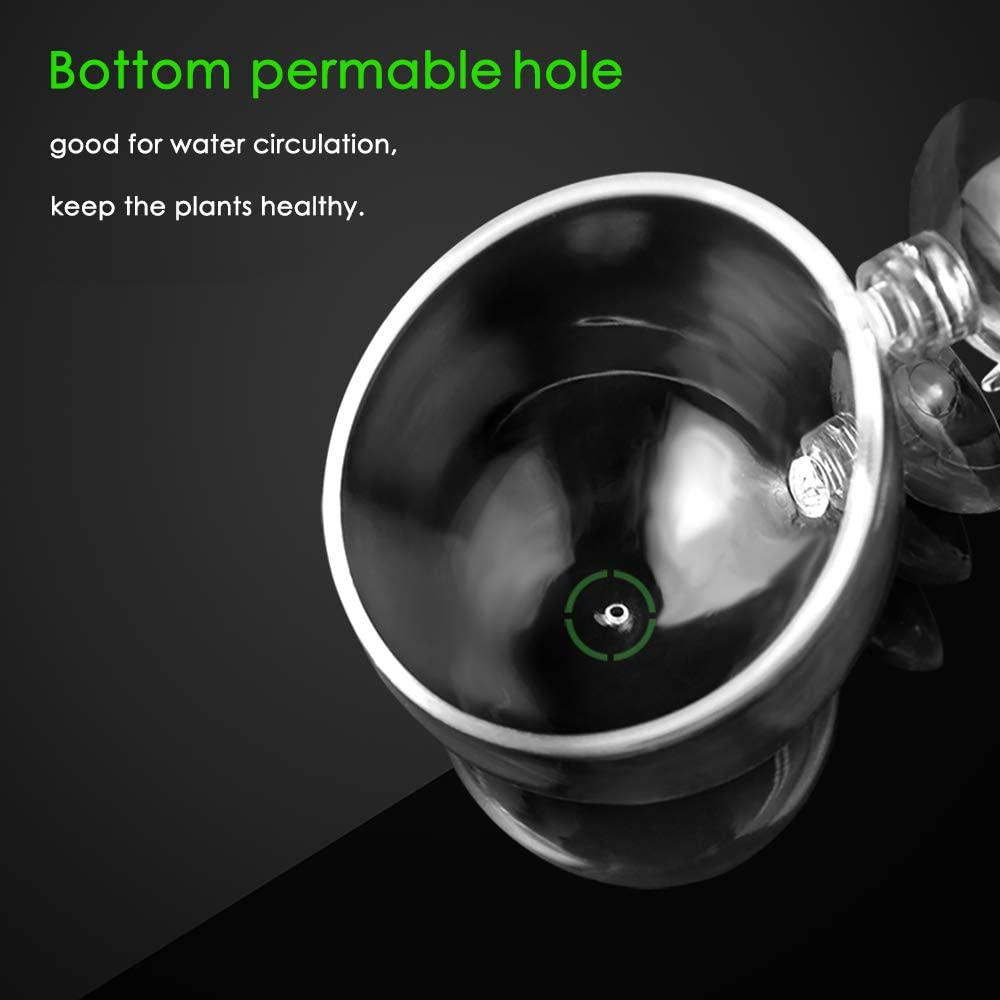 Grow Your Own Aquatic Garden Suction Cup Glass Fish Tank & Plant