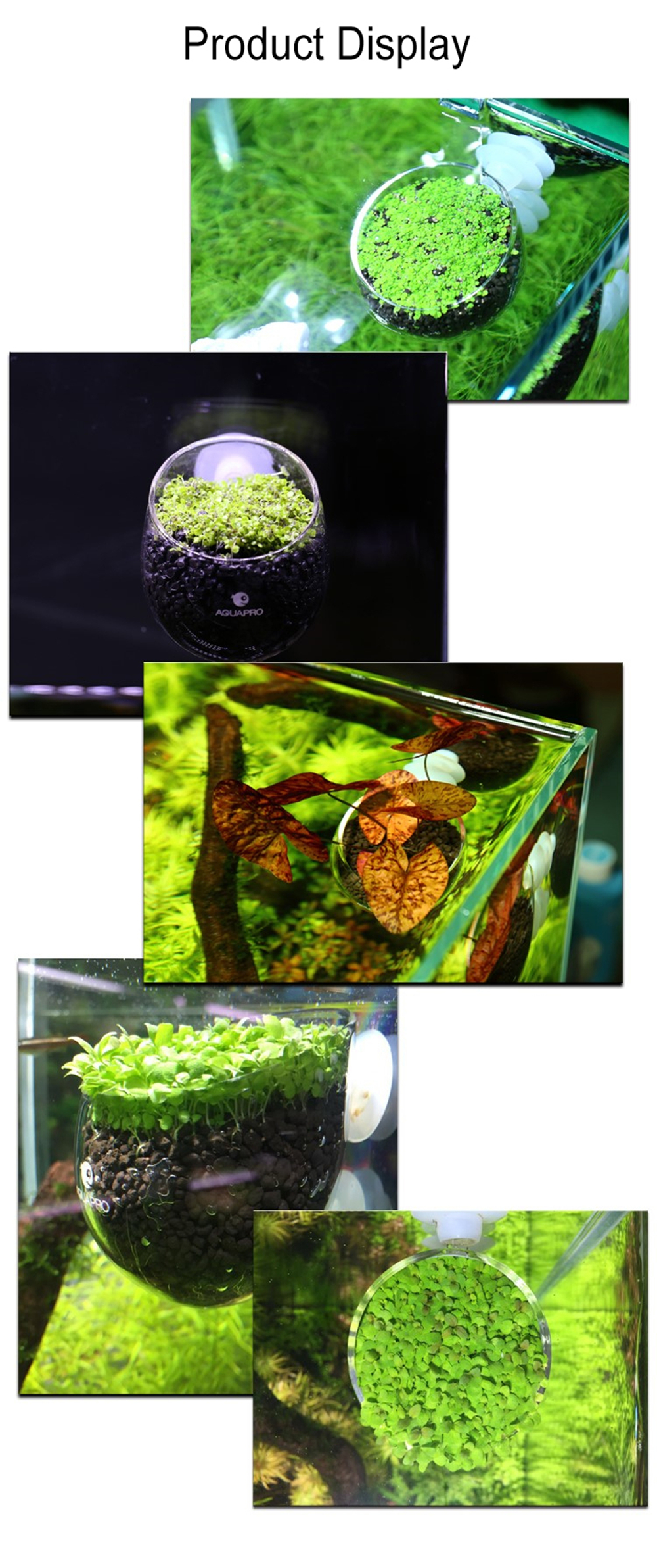Grow Your Own Suction Cup Glass Fish Tank Plant Cultivation Flower Pot