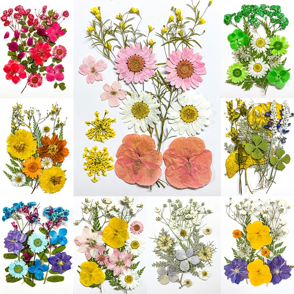 Dried Pressed Flowers For Resin, Real Pressed Flowers Dry Leaves Bulk Natural Herbs Kit For Scrapbooking DIY Art Crafts, Epoxy Resin Jewelry Molds, Candle, Soap Making, Nails Decor