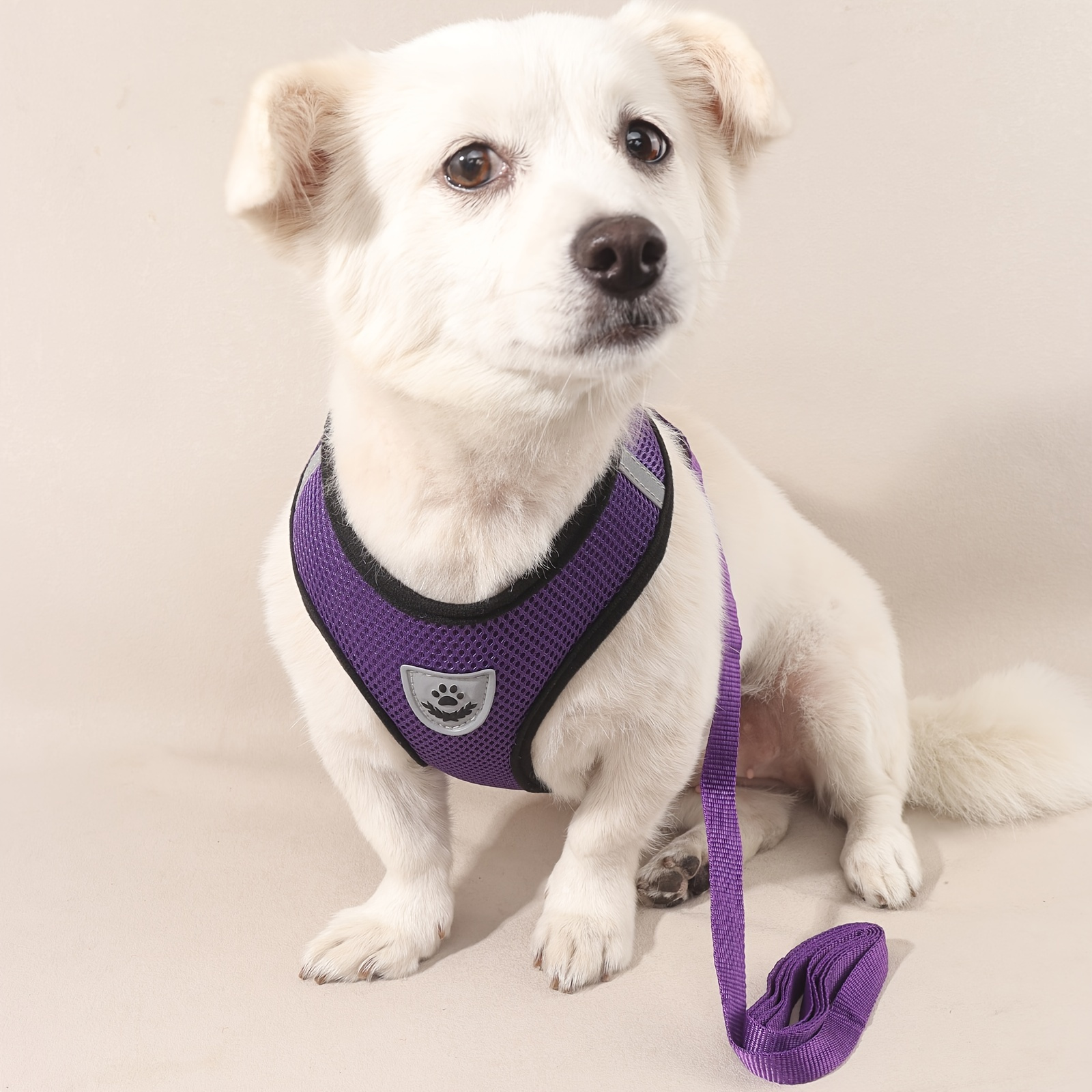 No Pull Pet Harness and Leash Set with Soft Mesh for Small and Medium Dogs and Cats - Comfortable and Secure Walking Experience