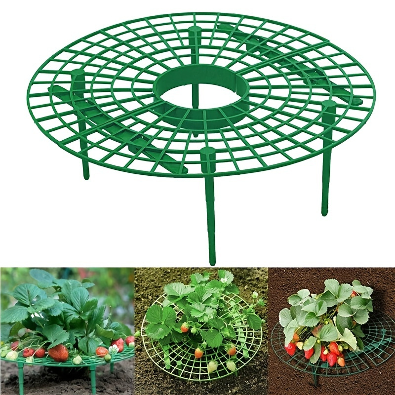 1pc Strawberry Planting Rack, Cultivation Holder, Planting Frame, Gardening Supplies