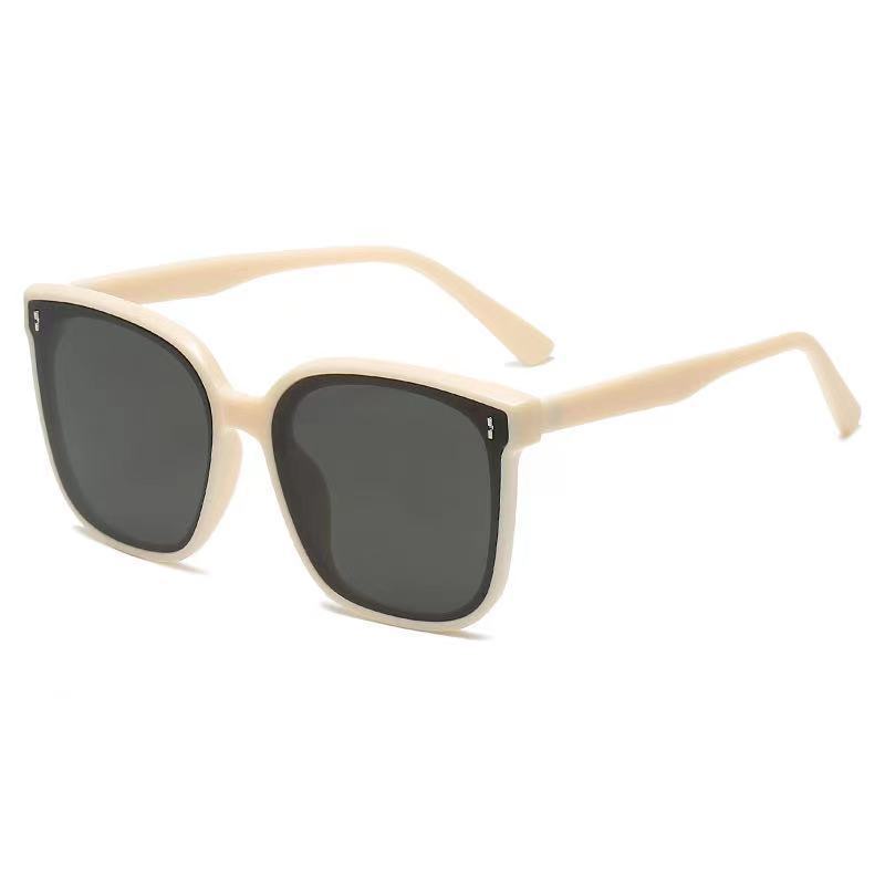 Large Frame Casual Sunglasses