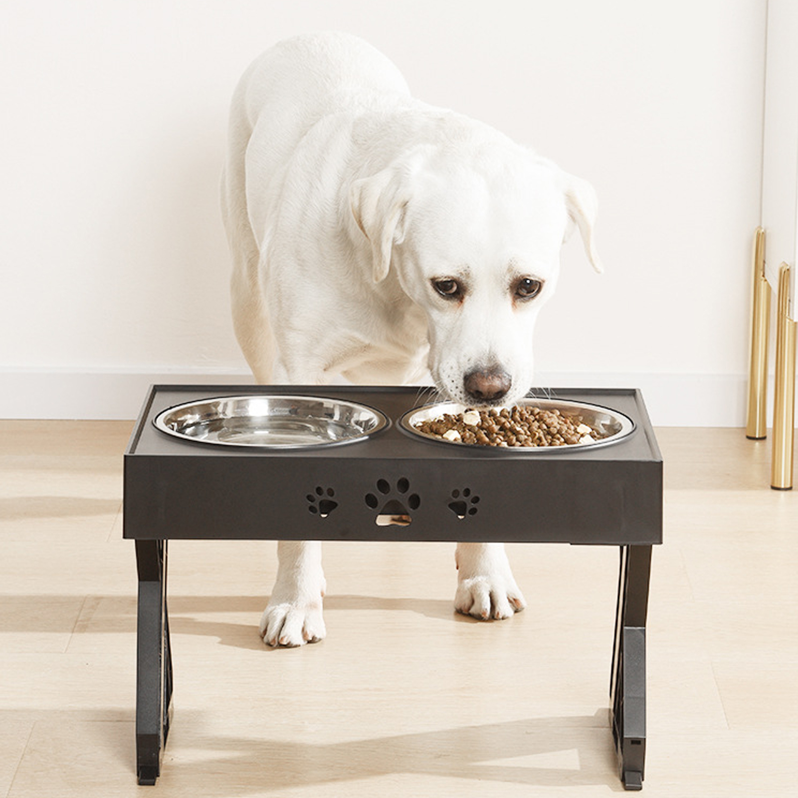 Adjustable Elevated Dog Bowls 3 Adjustable Heights Raised - Temu