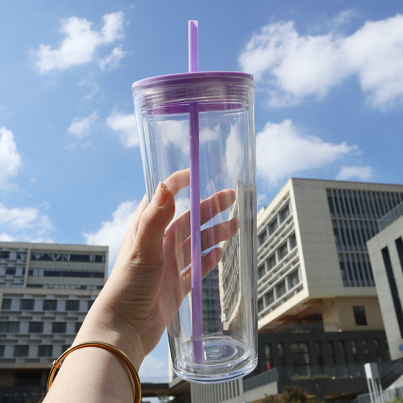 Classic Insulated Double Wall Tumbler Cup with Lid Straw