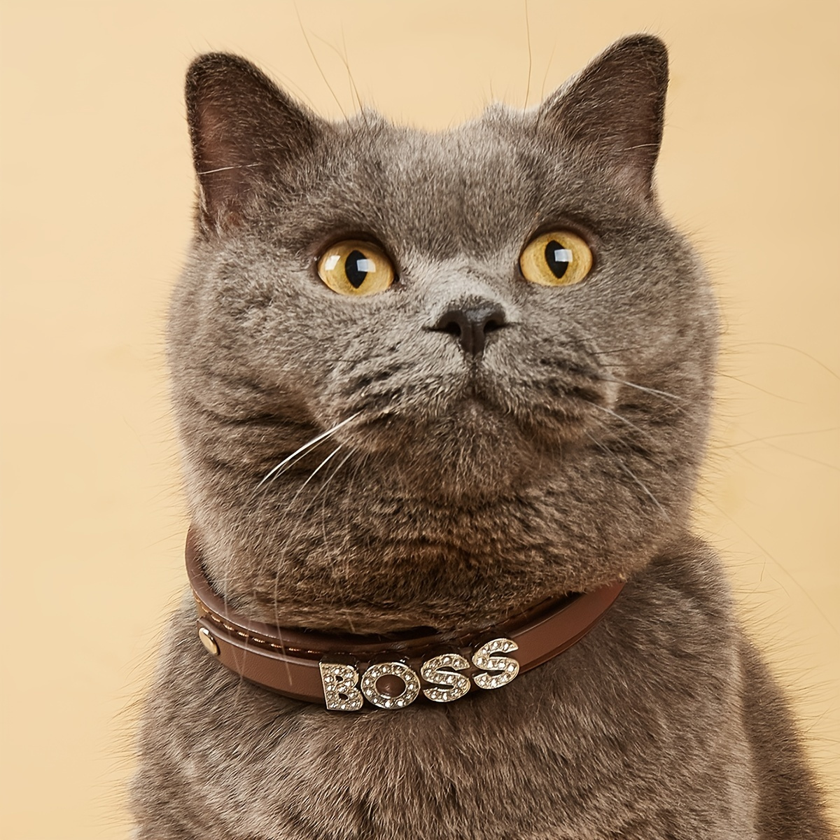 Brown - Designer LV Bowtie Cat Collar Pu Leather - Pet Supply Mafia