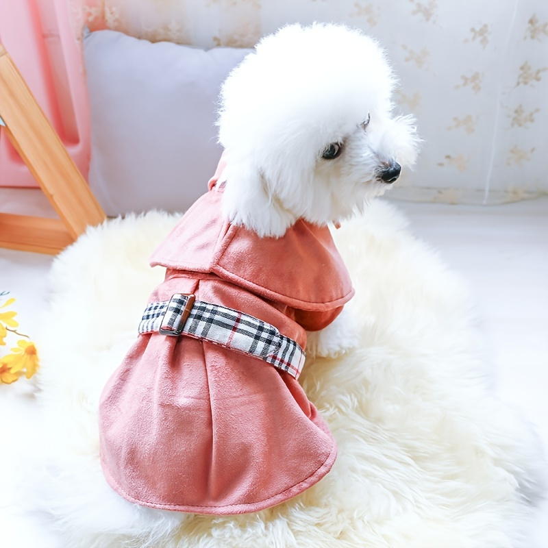 Louis Pup Reversible Monogram Jacket, Paws Circle