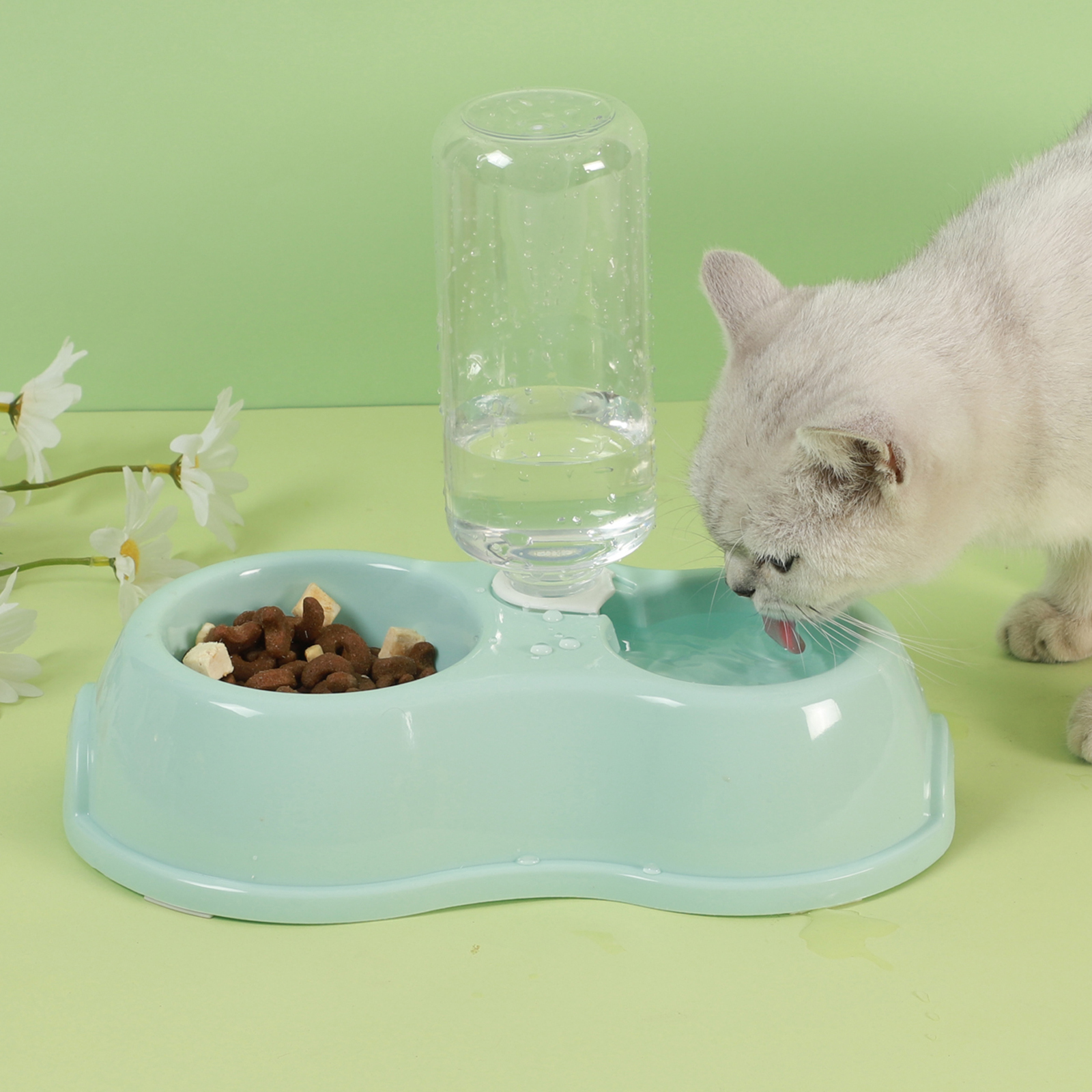 Cat Feeder Bowl, Dispenser Water Pet Bowl Pet Supplies Temu