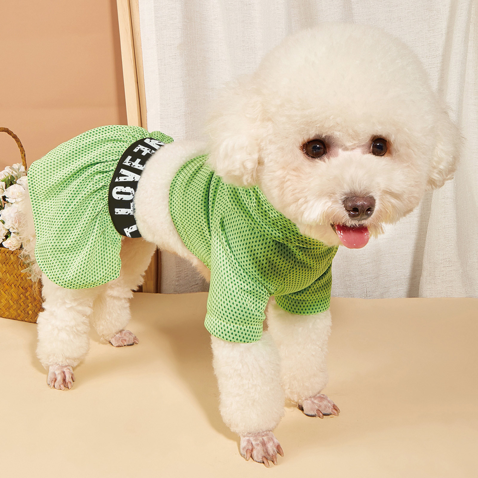pet-athleisure-hoodie-dress-set-cute-soft-cat-apparel-for-small-medium