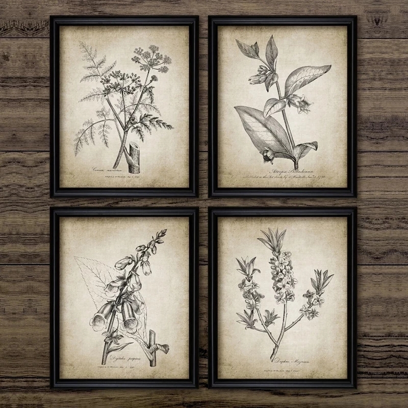 Bio Postcards Botanical Department Wall Stickers Room - Temu