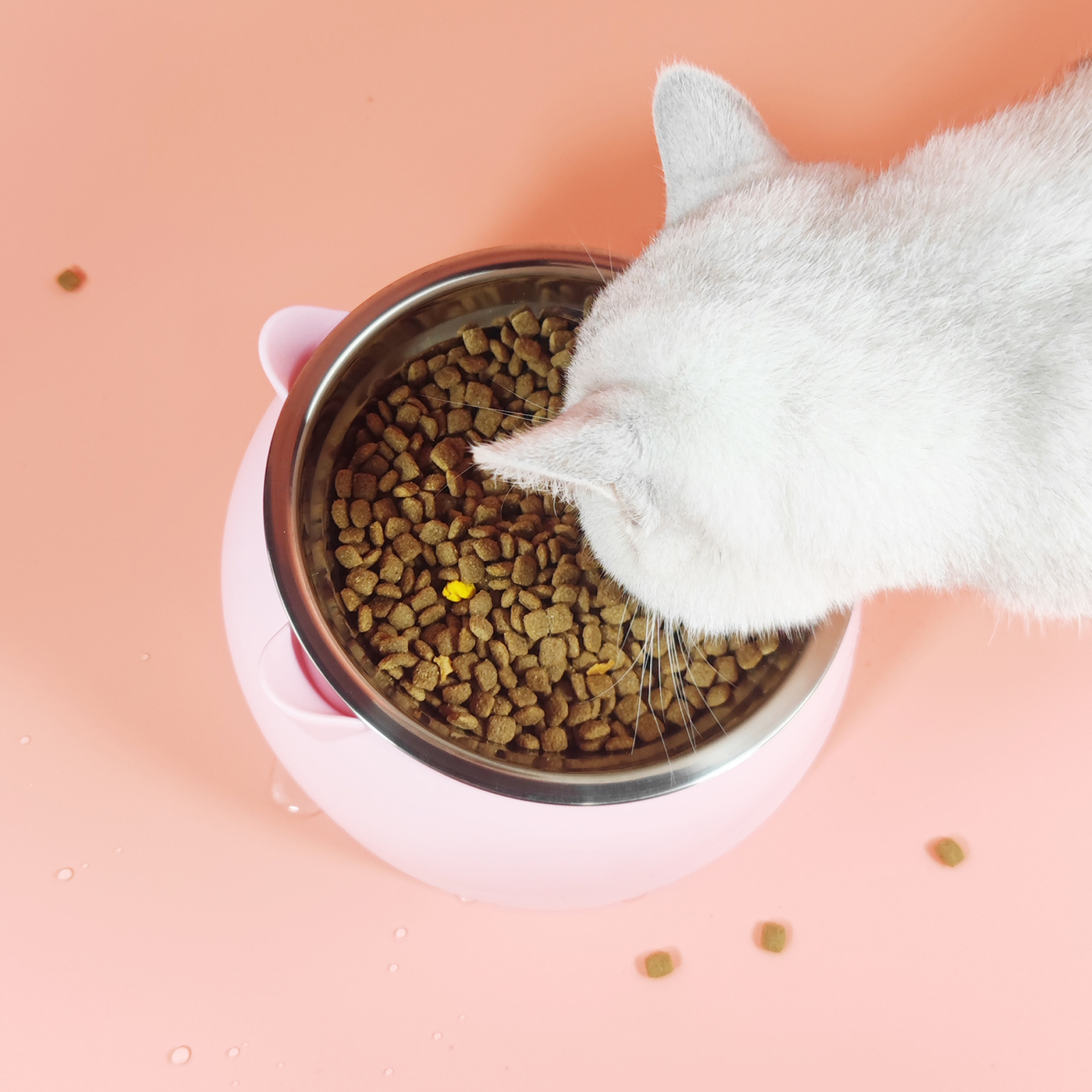 Stainless Steel Cat Feeding Bowl Temu
