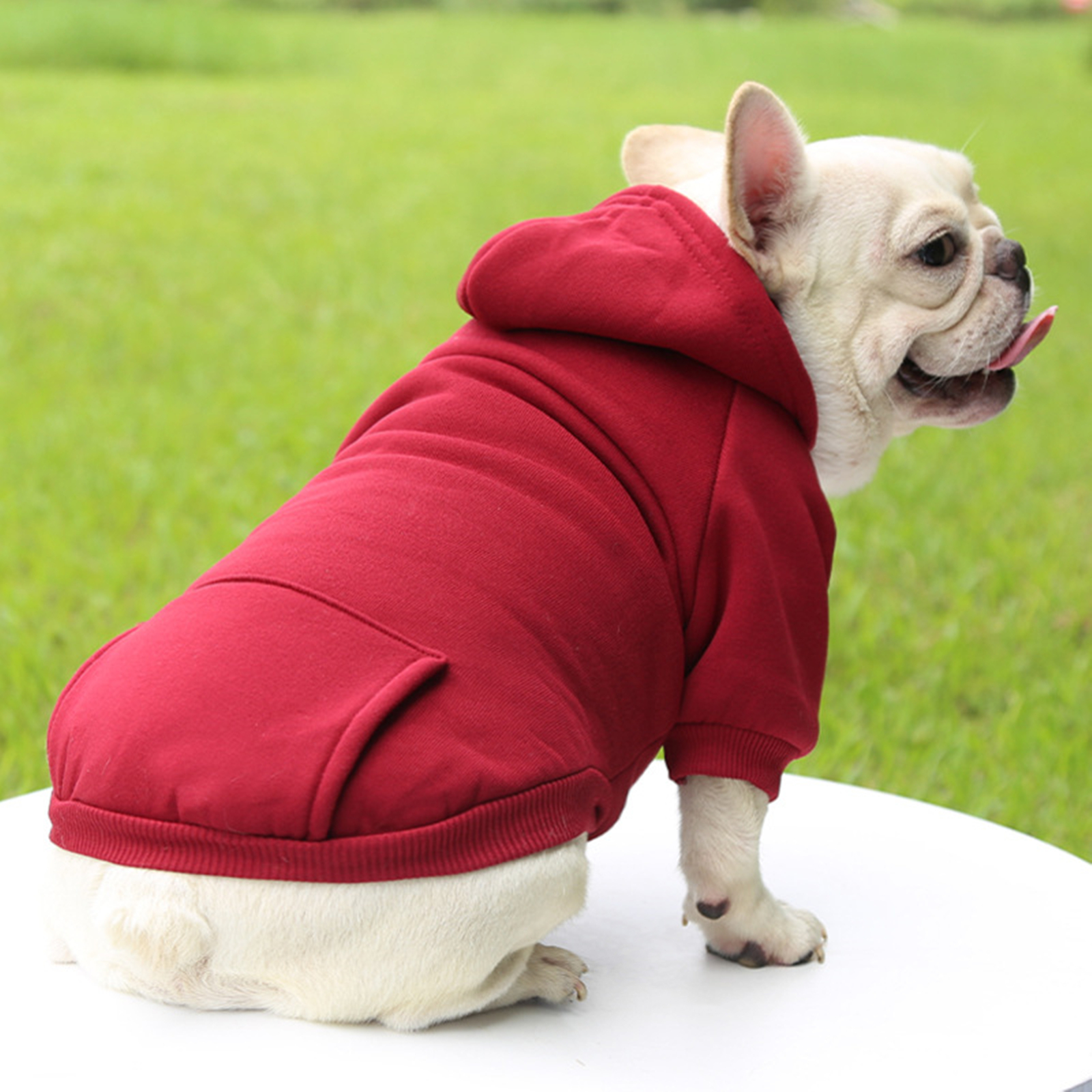 1pc Pet Clothes Color Block Hoodie Jacket & Coat For Dogs And Cats