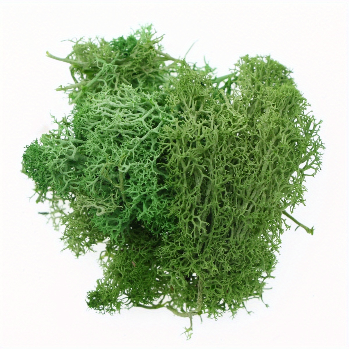 1 pack green moss for planters artificial moss lichen forest moss lichen  lifelike simulatioan lichen craft moss artificial - AliExpress