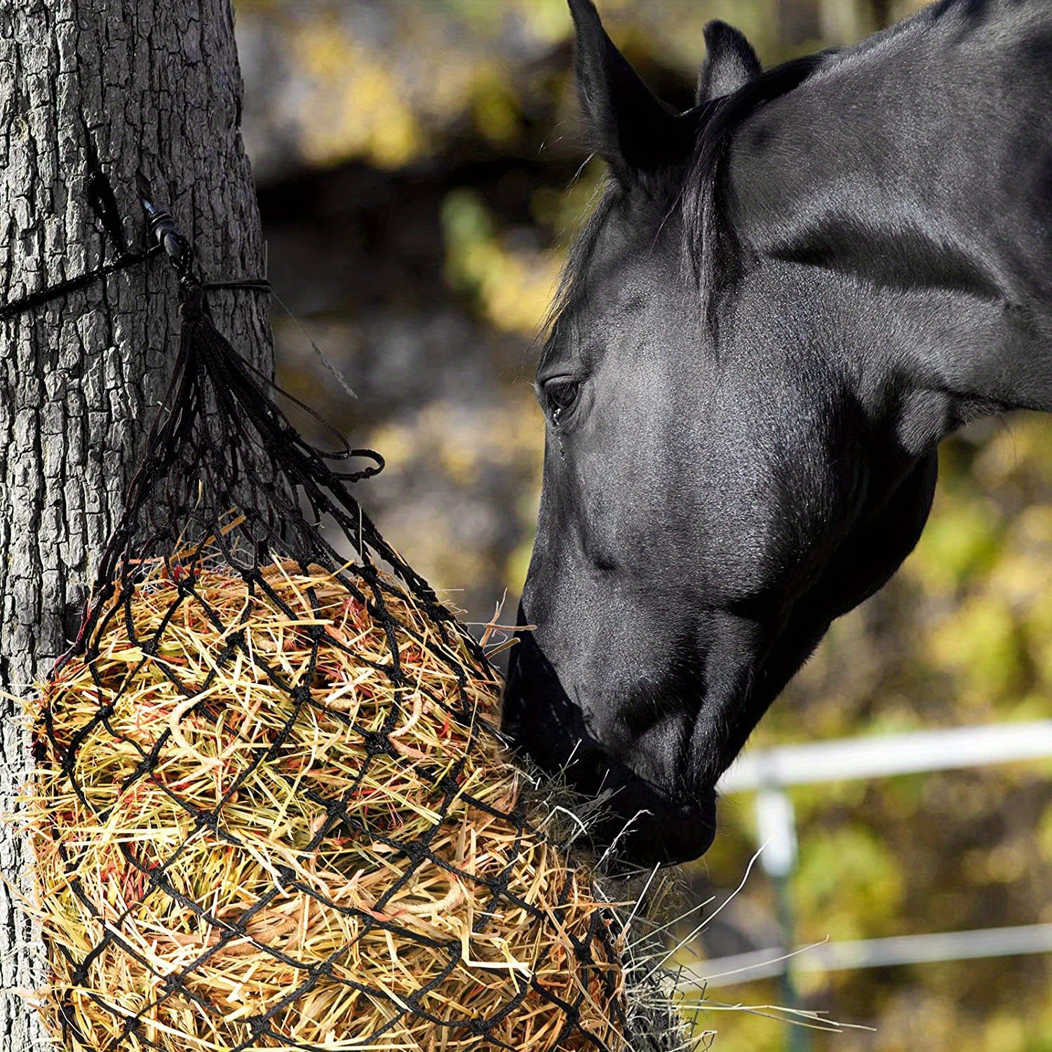Aoneky Filet à foin pour chevaux à alimentation lente - Convient