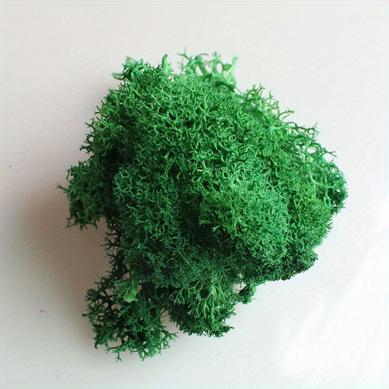 Forest Green Artificial Moss Perfect For Fairy - Temu Mexico