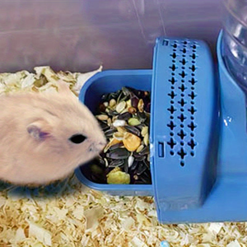 How to give hamster water cheap without bottle