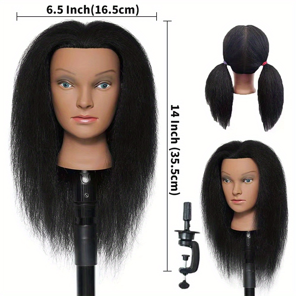 Cabeza de maniquí de cabello 100% humano de 20-22 pulgadas, cabeza de  maniquí training head Cosmetología, cabeza de muñeca con abrazadera libre