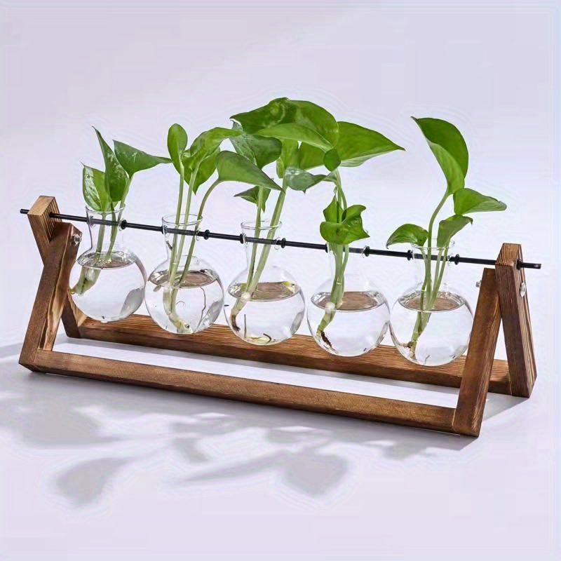 Terrarium De Plantes Avec Support En Bois, Pot De Fleur À Air