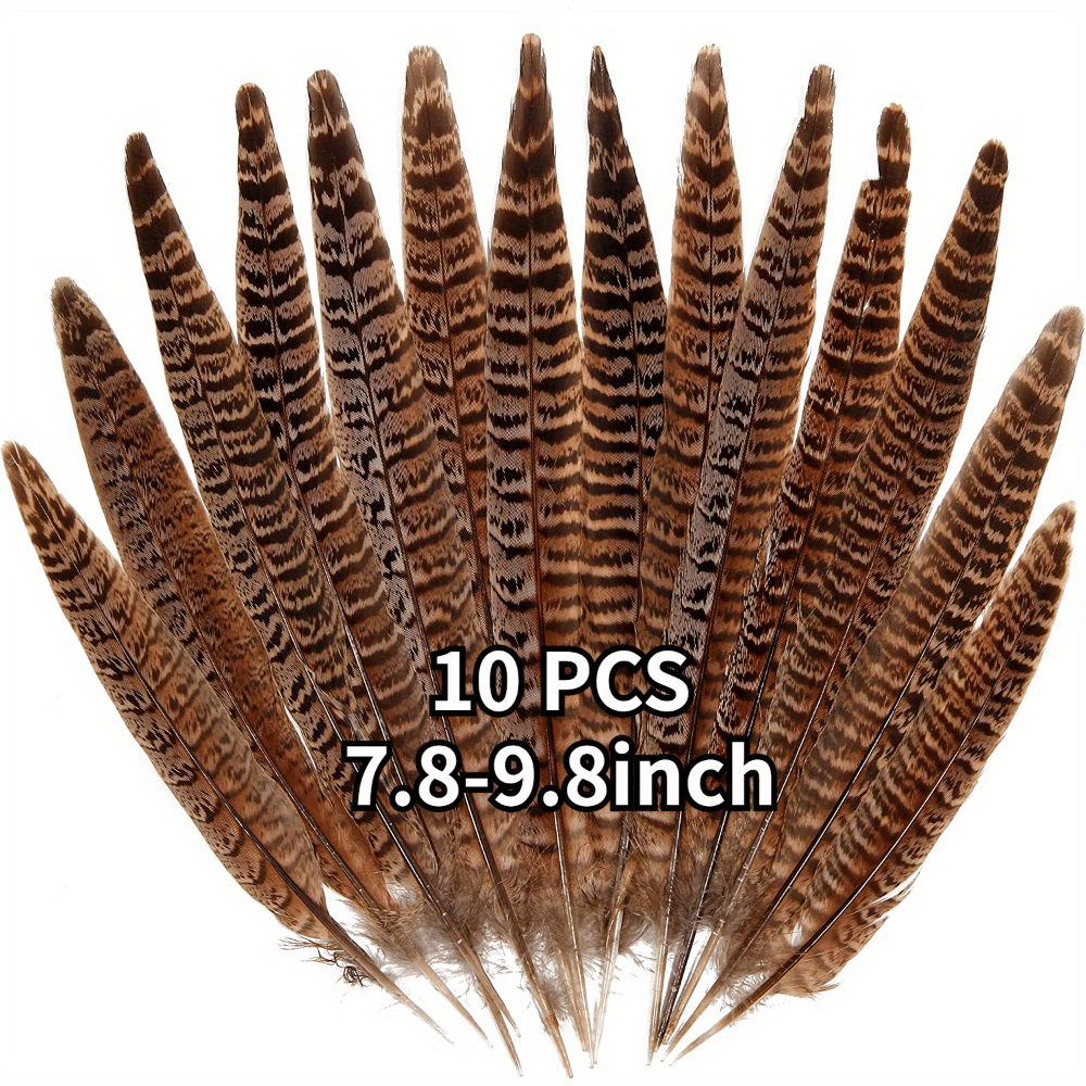 40pcs Natural Turkey Feathers,Pheasant Feathers,Spotted Feathers and Duck  Feathers,4 Styles Feathers for Crafts DIY Cowboy Hat Floral Arrangements