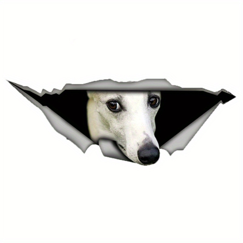 Whippet dog cheap accessories