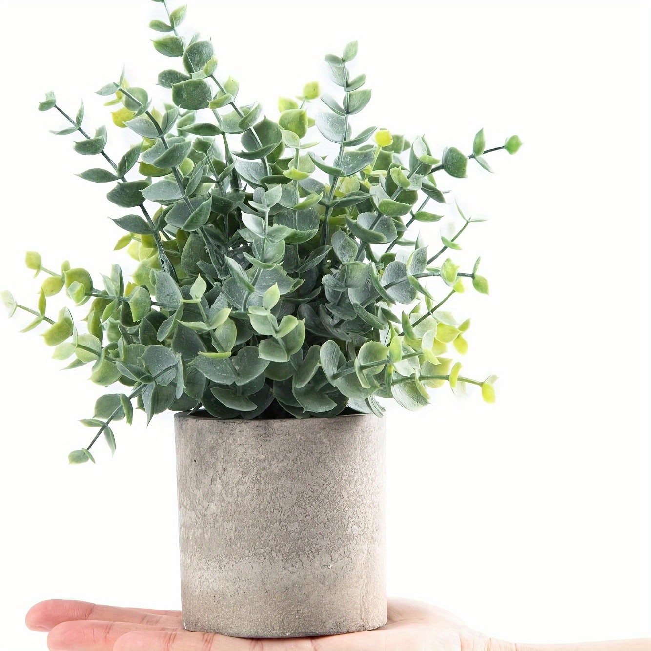 1/2/3 stcke knstliche topfpflanzen mini eukalyptus - Temu Germany