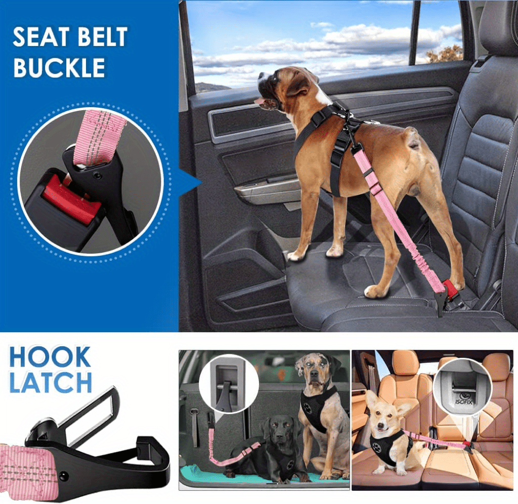 Ceinture De Sécurité Pour Chien En Voiture : Laquelle Choisir En 2024 ?