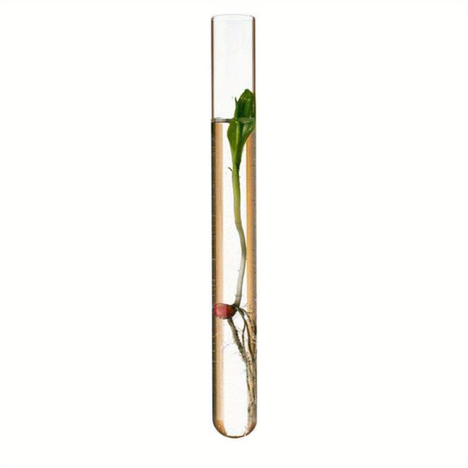 thumbnail image 2 of 50Pcs 12x60mm Plastic Clear Test Tube For Scientific Experiments Party Candy Sto 2 of 10