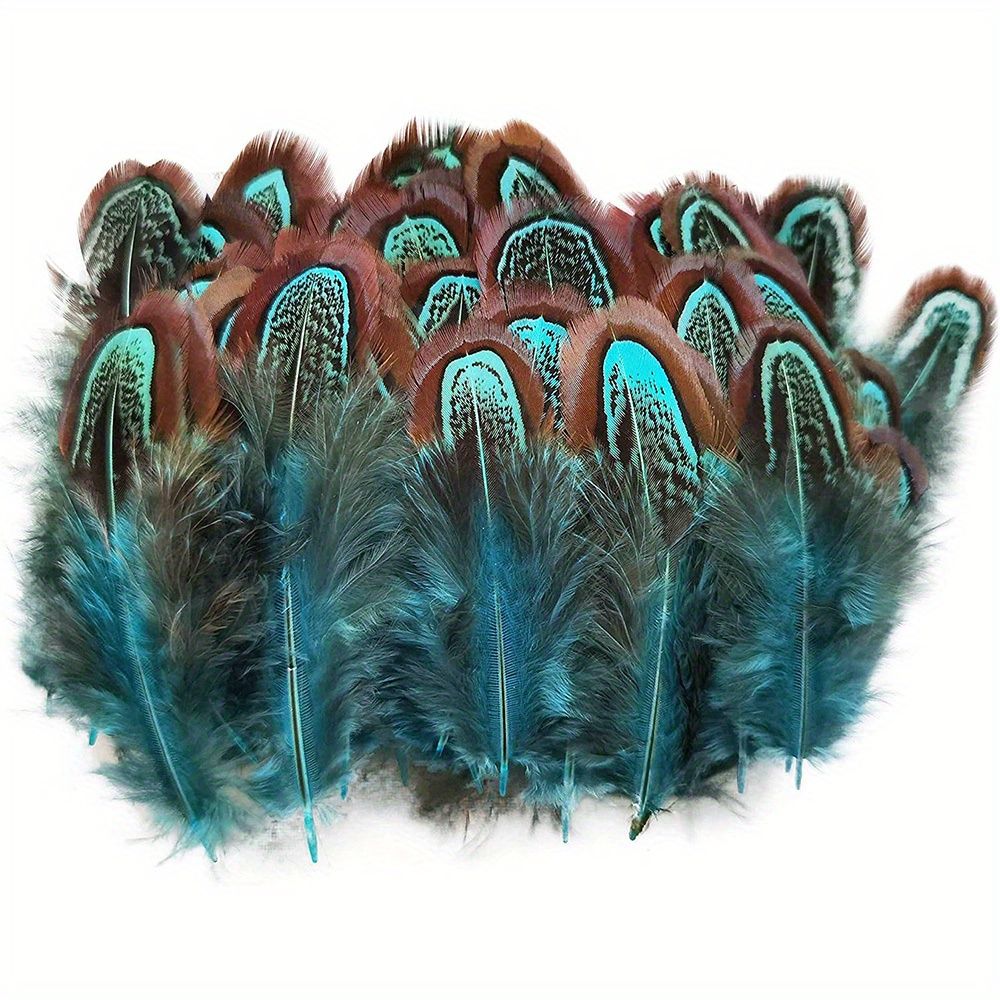  100 Pcs Blue Pheasant Feathers 2-3 Inches Plumage for Crafts  Clothing Sewing Decorating Accessories : Arts, Crafts & Sewing