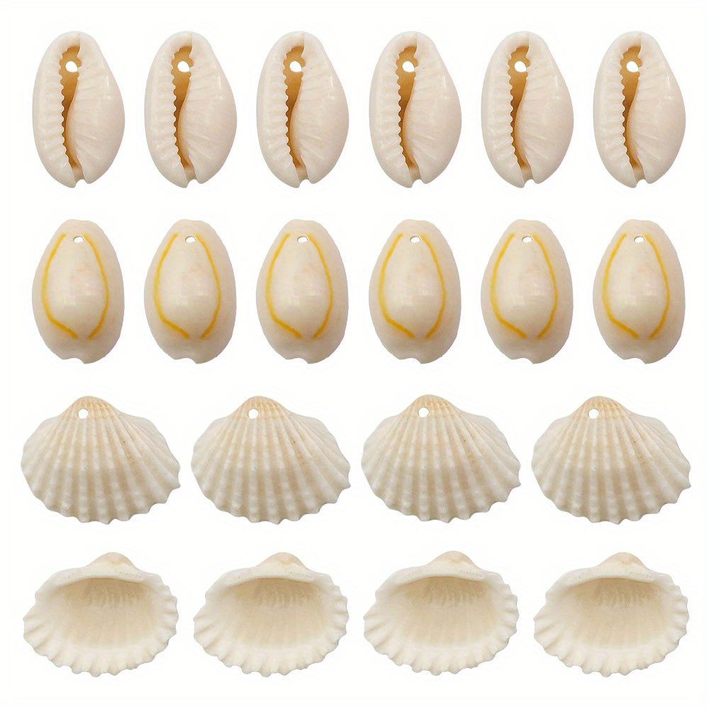Scallop Shells White Sea Shells Crafts Natural Sea Shell - Temu