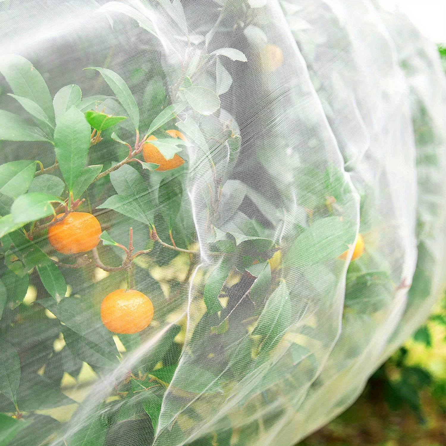 Insect Netting Mesh Garden Bug Netting Plant Temu