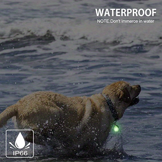 Luz Recargable Luz Collar Perros Resistente Agua Luz Led - Temu