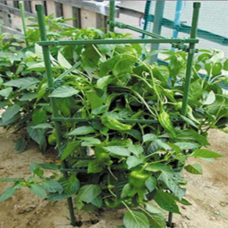 Tomato Cages Deformable Plant Supports Tomato Support Garden Temu