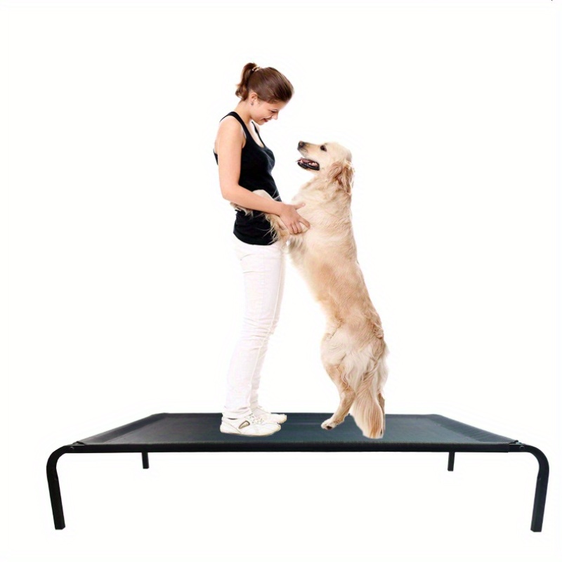 Elevated pet beds for small outlet dogs